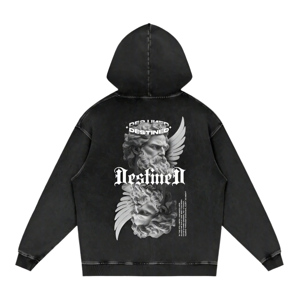 Zelus Apparel,Thick Cotton,Streetwear,Statement Hoodie,Destined Design,Oversized Hoodie,Motivational Apparel,High-End Hoodie,Gym Apparel,Graphic Hoodie